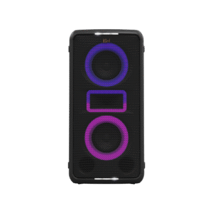 ENCEINTE KARAOKE